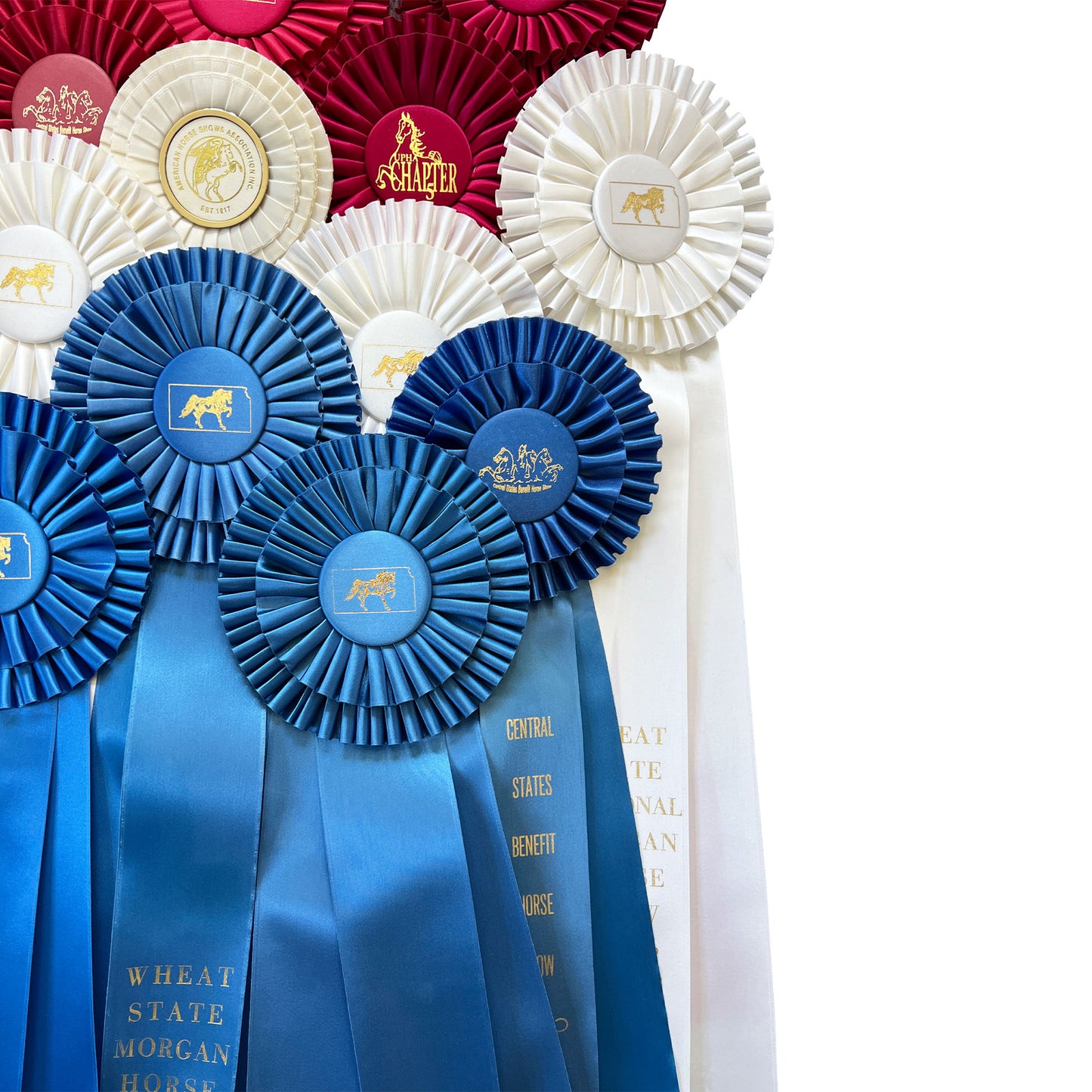 Large Collection of Morgan Horse Show Rosette Ribbons in Red White and Blue - 20