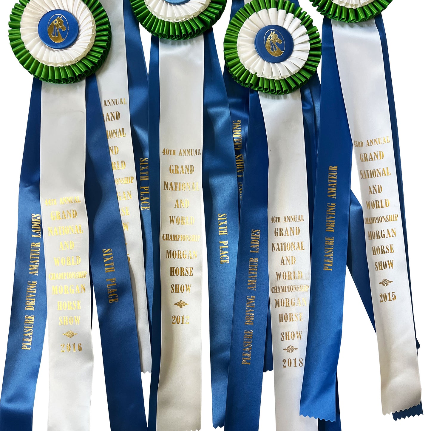 Collection of Six Morgan Horse Show Rosette Ribbons in Blue, Green and White