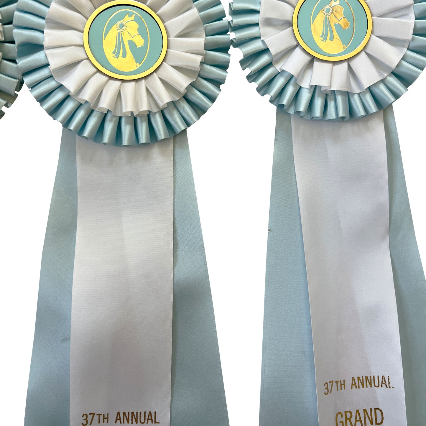 Set of Four Morgan Horse Show Rosette Ribbons in Baby Blue