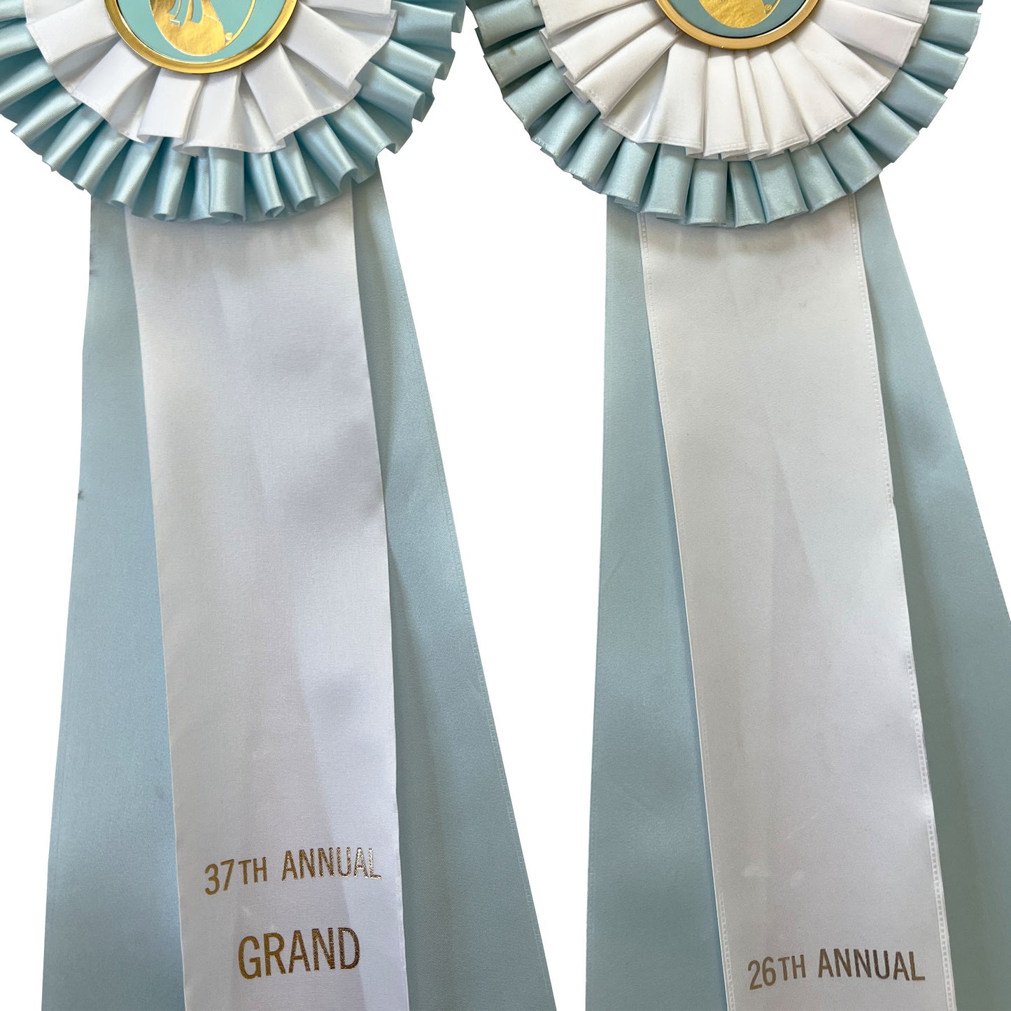 Set of Four Morgan Horse Show Rosette Ribbons in Baby Blue