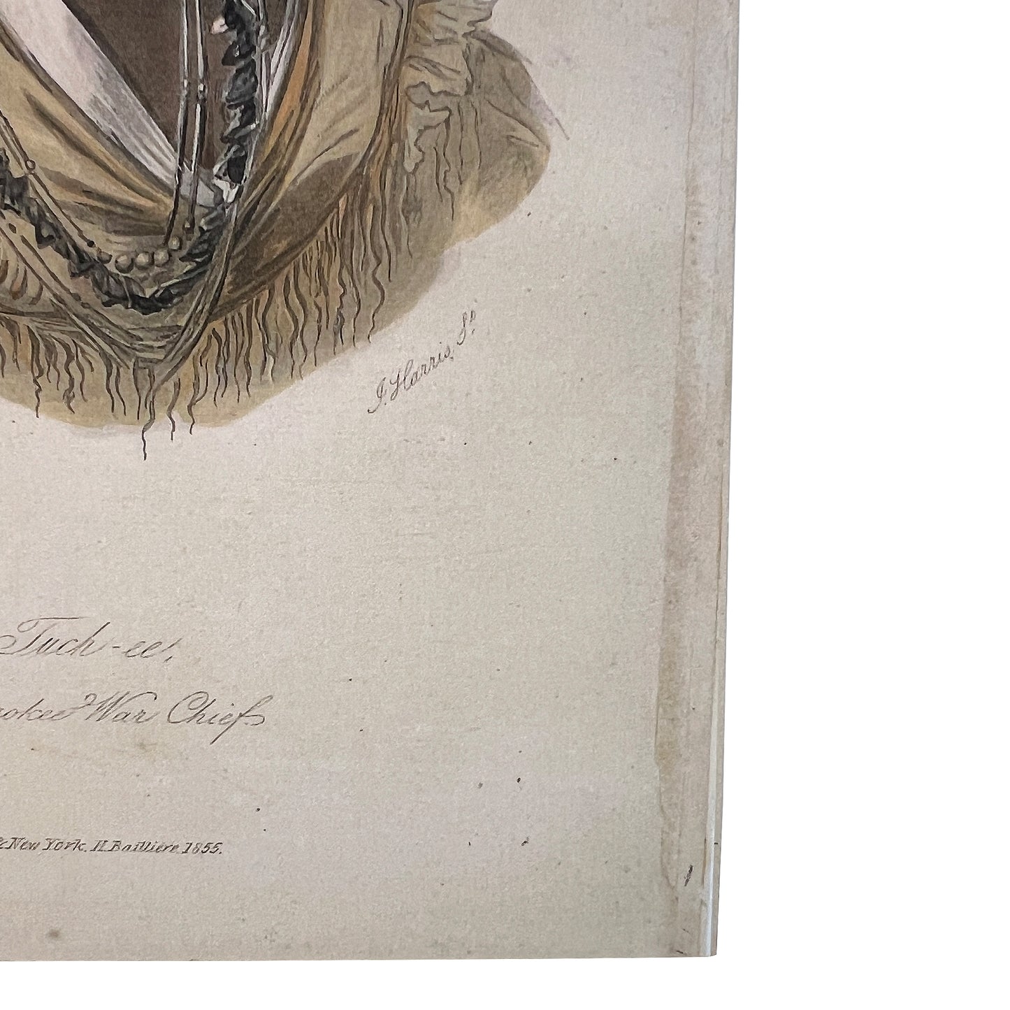 Reproduction Print “Tuch-ee, a Cherokee War Chief” by S. Howitt, 1855