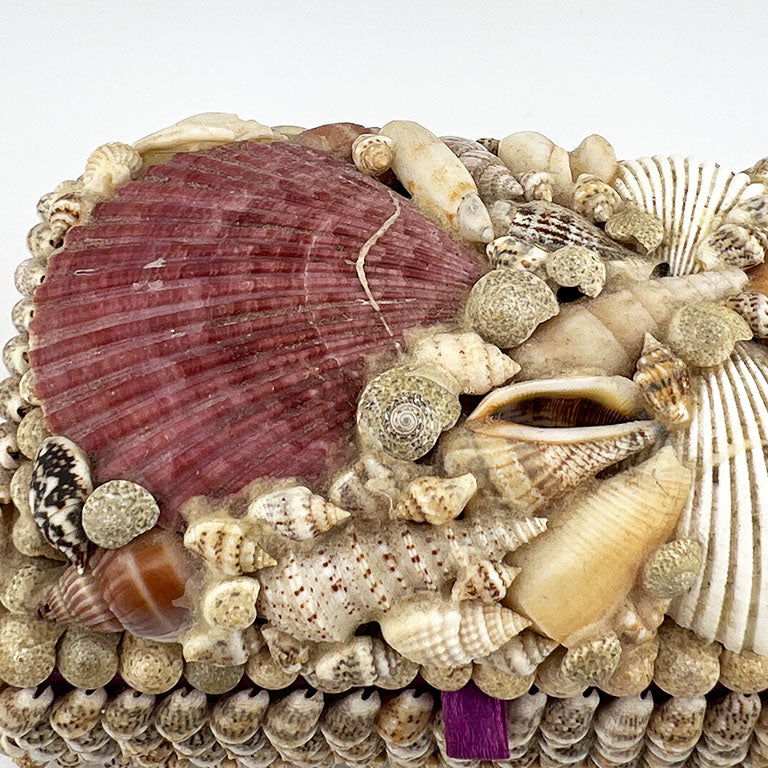 Purple Sea Shell Encrusted Trinket Box