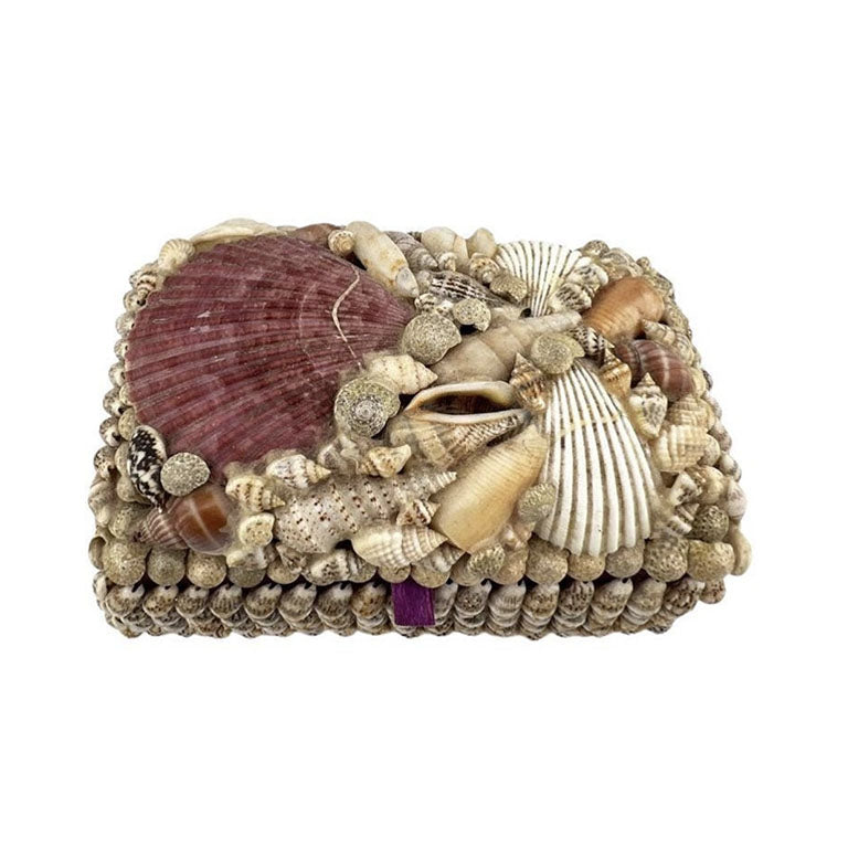 Purple Sea Shell Encrusted Trinket Box