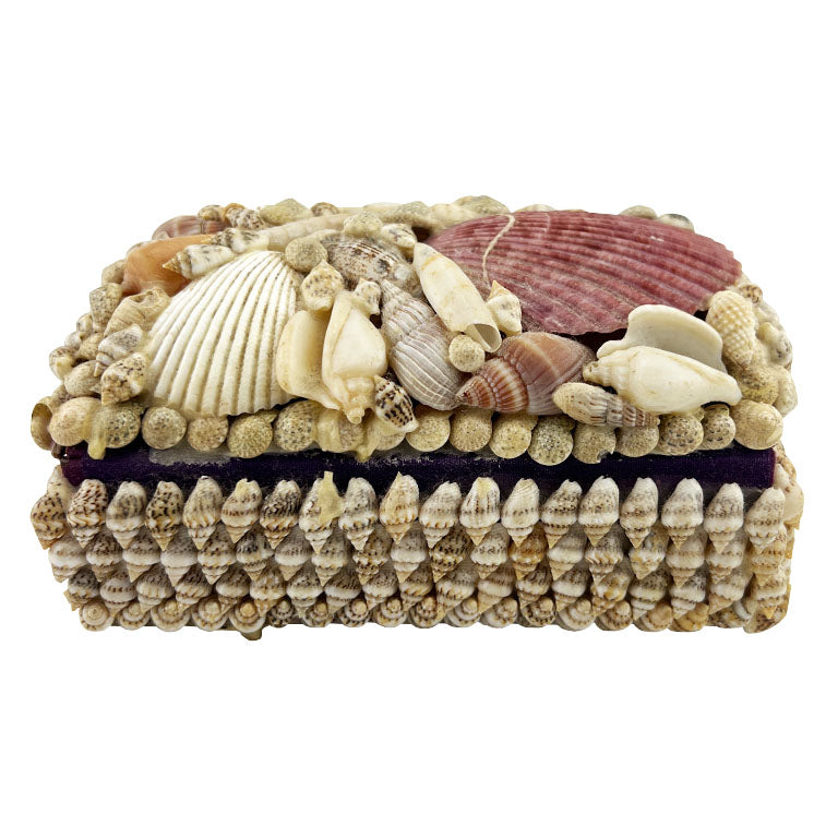 Purple Sea Shell Encrusted Trinket Box