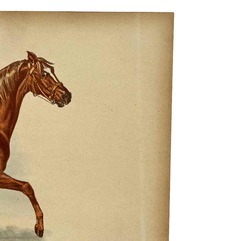 Antique Lithograph “George Frederick” with Lineage Chart, 19th Century