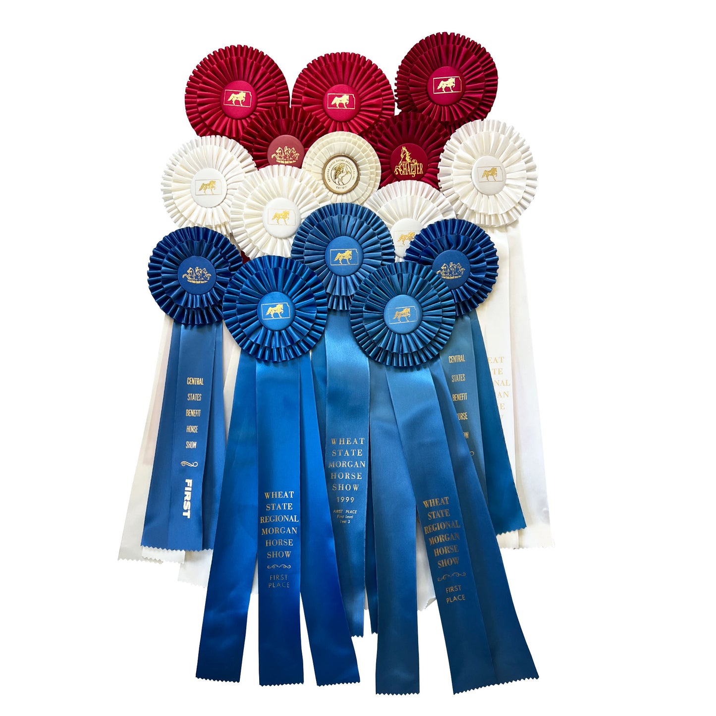 Large Collection of Morgan Horse Show Rosette Ribbons in Red White and Blue - 20