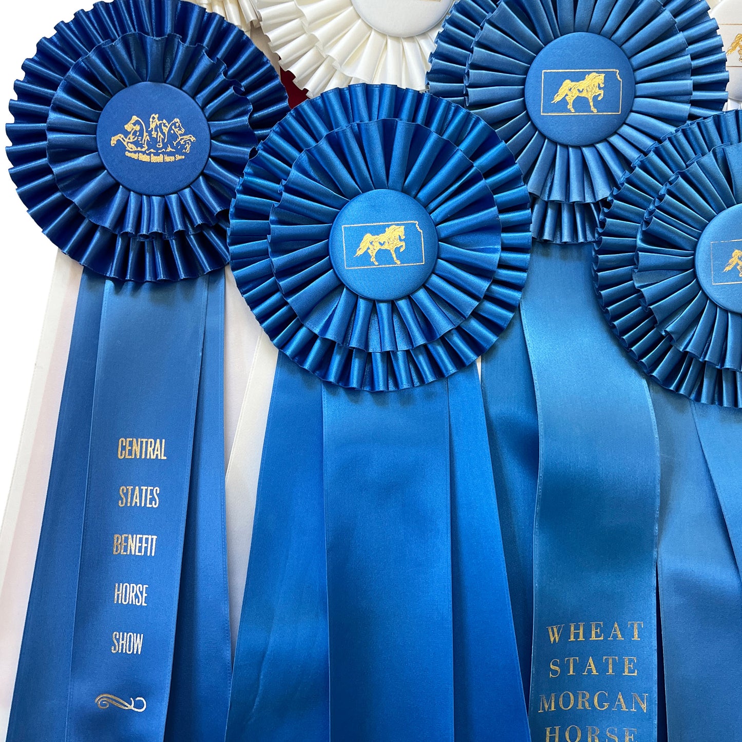 Large Collection of Morgan Horse Show Rosette Ribbons in Red White and Blue - 20