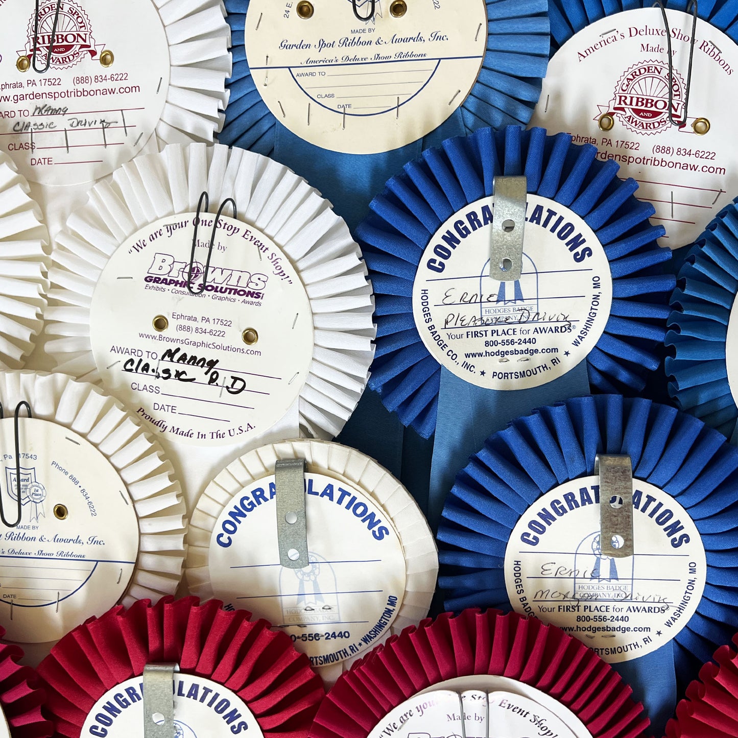 Large Collection of Morgan Horse Show Rosette Ribbons in Red White and Blue - 20