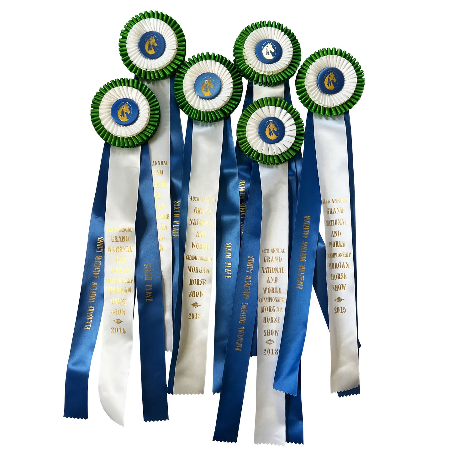 Collection of Six Morgan Horse Show Rosette Ribbons in Blue, Green and White