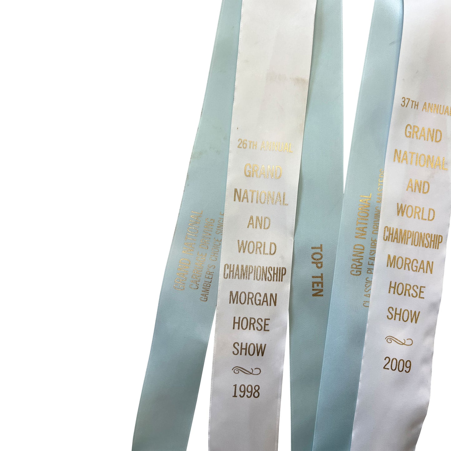 Set of Four Morgan Horse Show Rosette Ribbons in Baby Blue