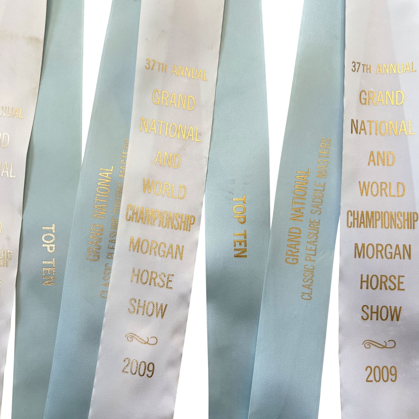Set of Four Morgan Horse Show Rosette Ribbons in Baby Blue