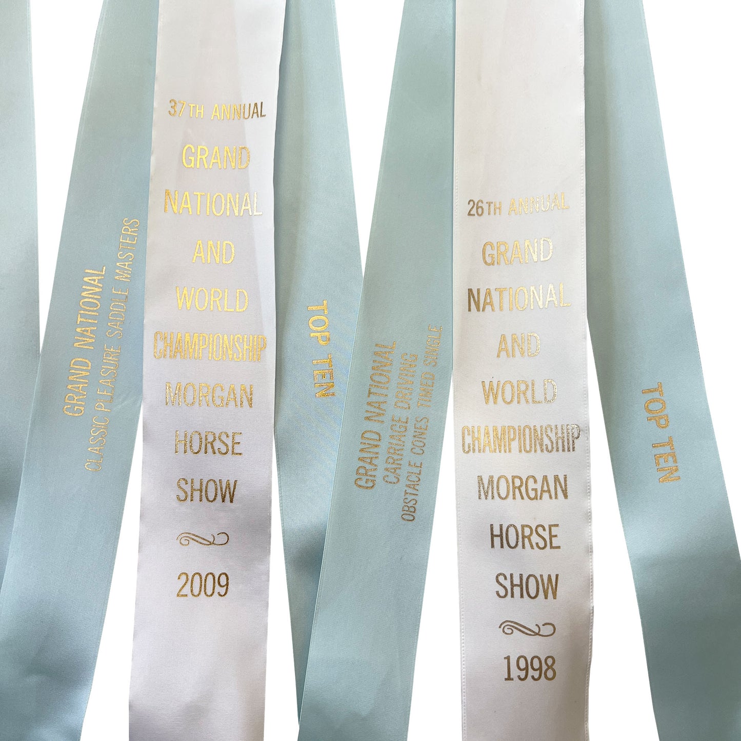 Set of Four Morgan Horse Show Rosette Ribbons in Baby Blue