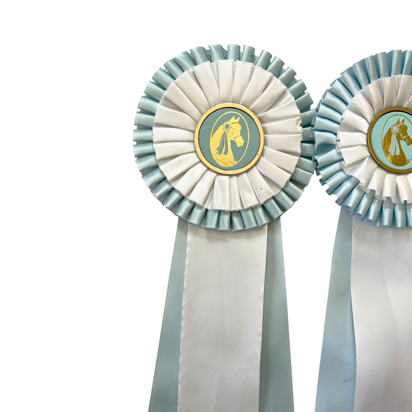 Set of Four Morgan Horse Show Rosette Ribbons in Baby Blue