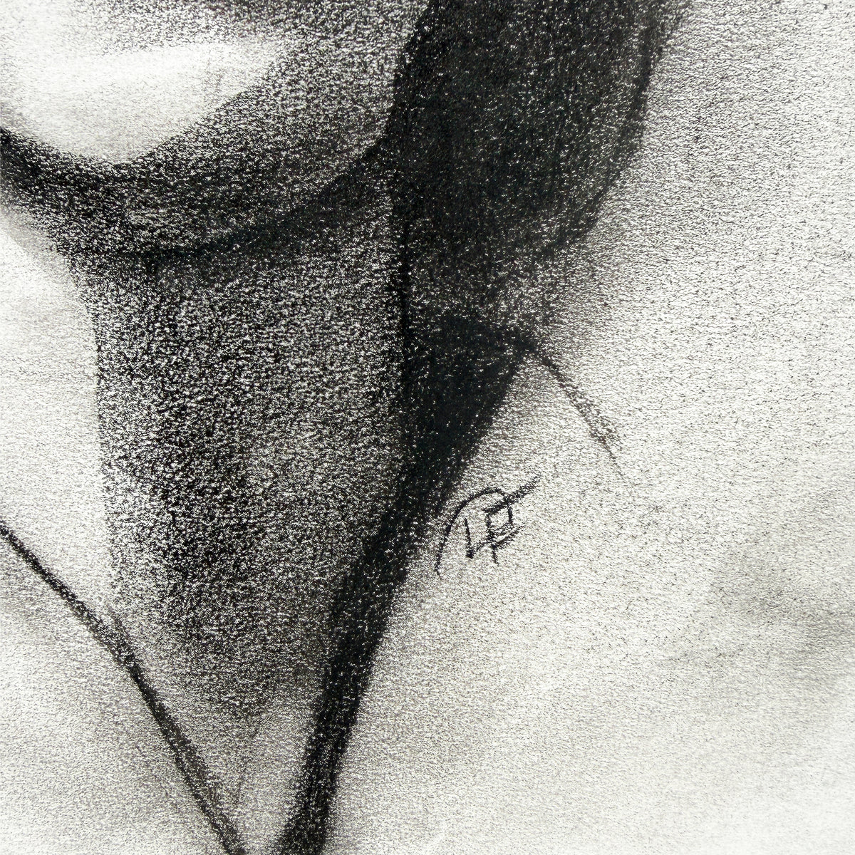Black and White Charcoal Portrait Drawing of a Woman with Dark Hair - Signed
