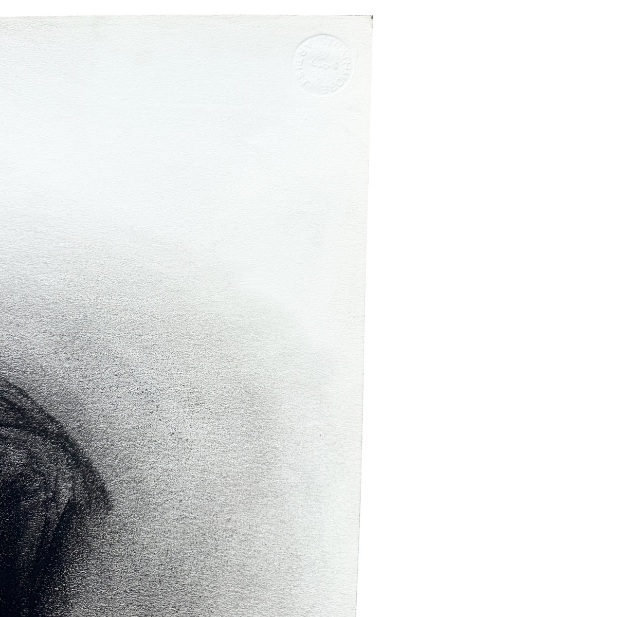 Black and White Charcoal Portrait Drawing of a Woman with Dark Hair - Signed