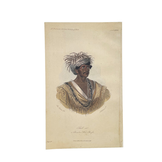 Reproduction Print “Tuch-ee, a Cherokee War Chief” by S. Howitt, 1855