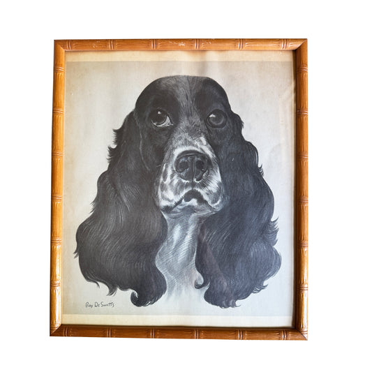 Ray De Santis Sporting Dog Portrait, English Cocker Spaniel in Bamboo Frame