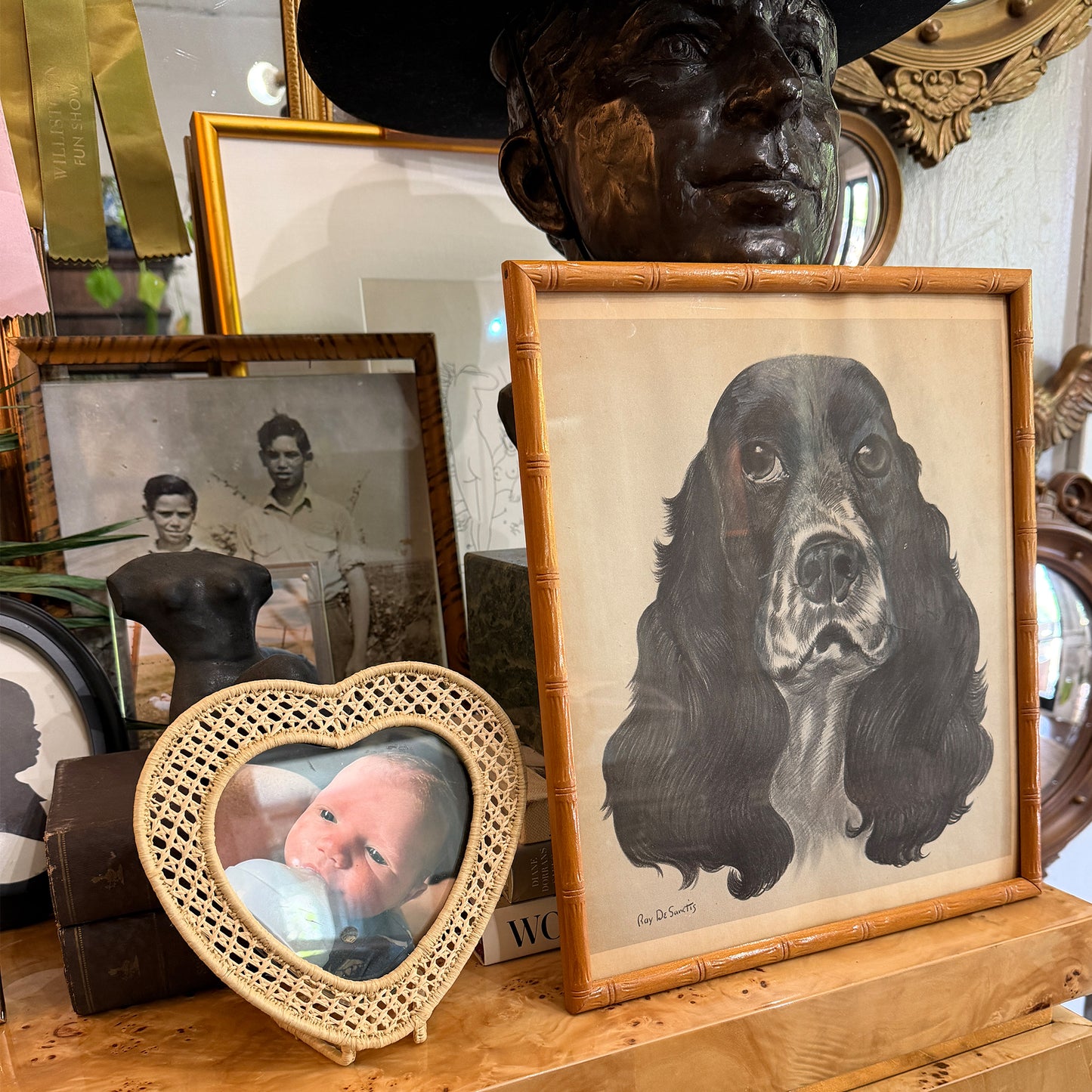 Ray De Santis Sporting Dog Portrait, English Cocker Spaniel in Bamboo Frame