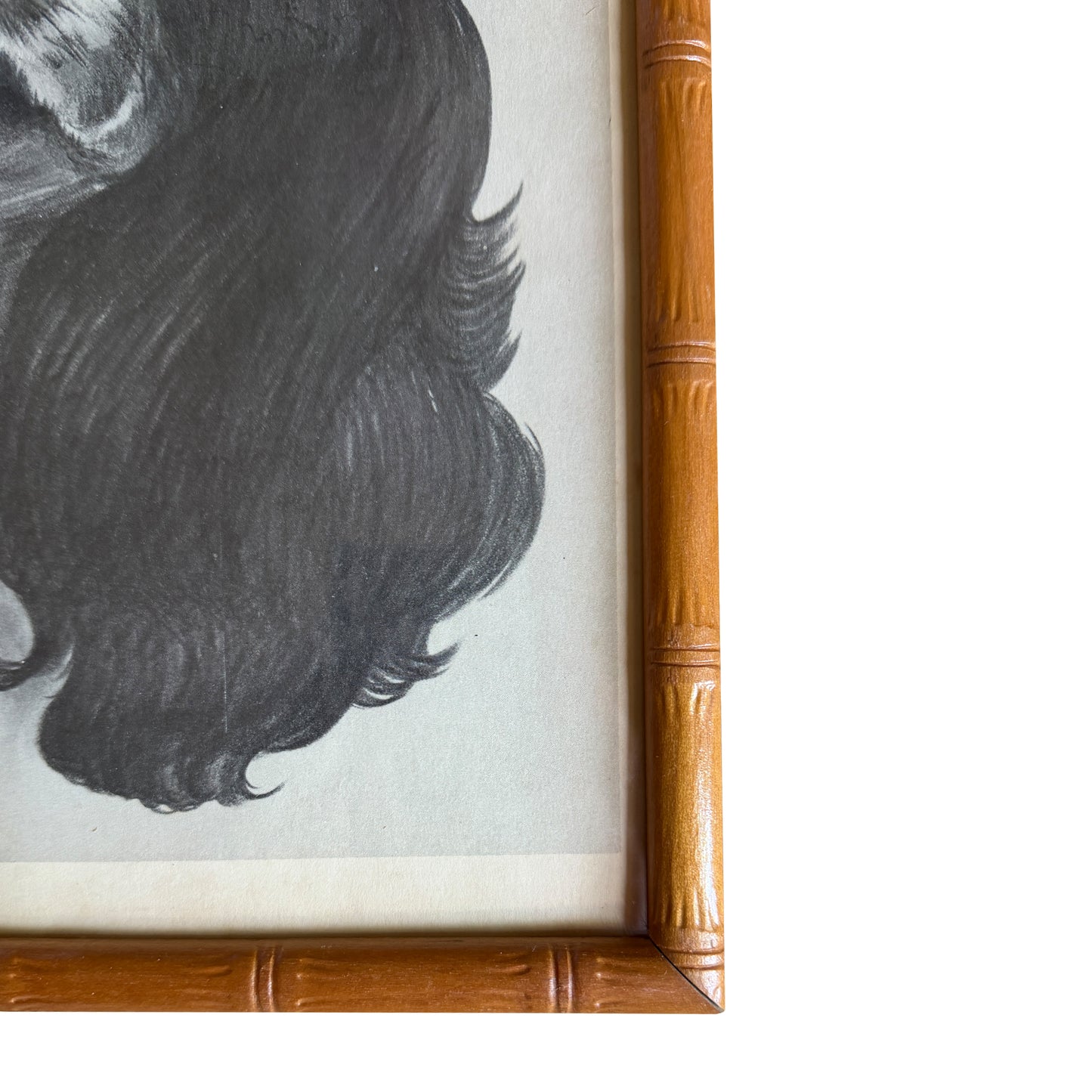 Ray De Santis Sporting Dog Portrait, English Cocker Spaniel in Bamboo Frame