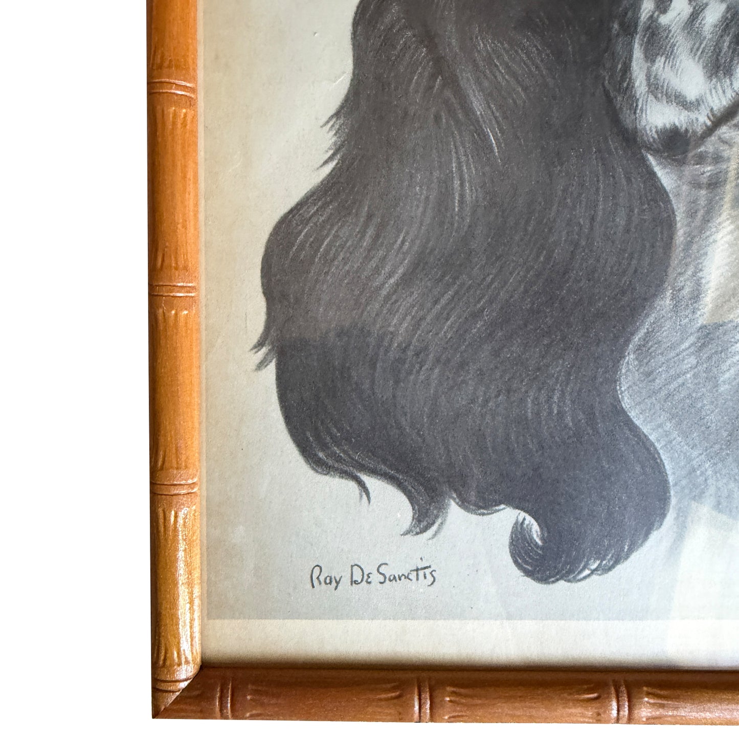 Ray De Santis Sporting Dog Portrait, English Cocker Spaniel in Bamboo Frame
