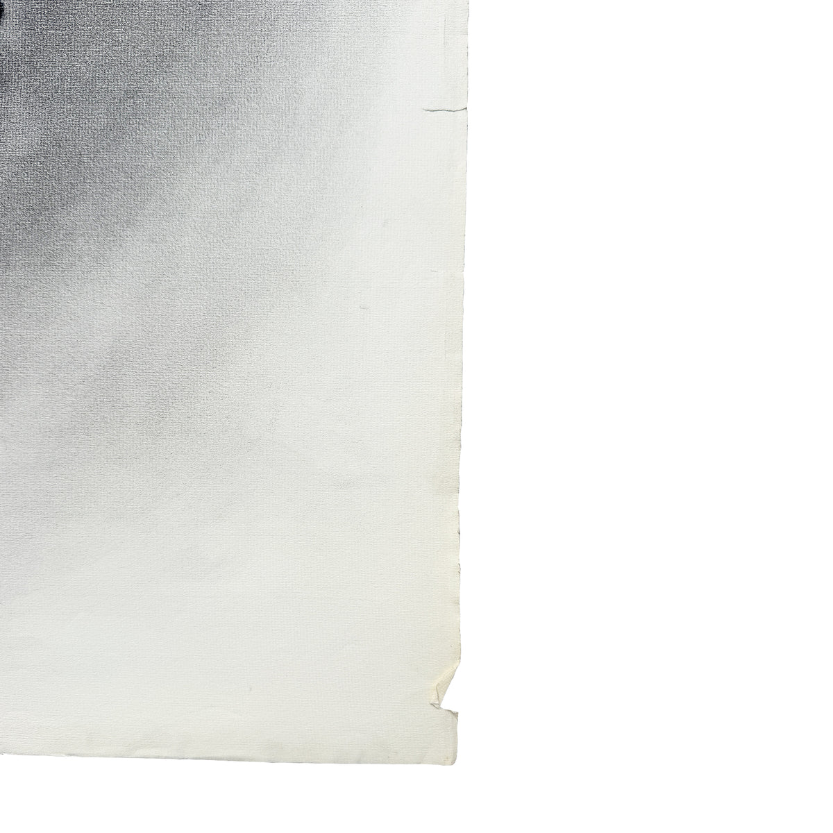 Donna Foreman Hopper Double-Sided Charcoal Portrait of a Woman in Profile