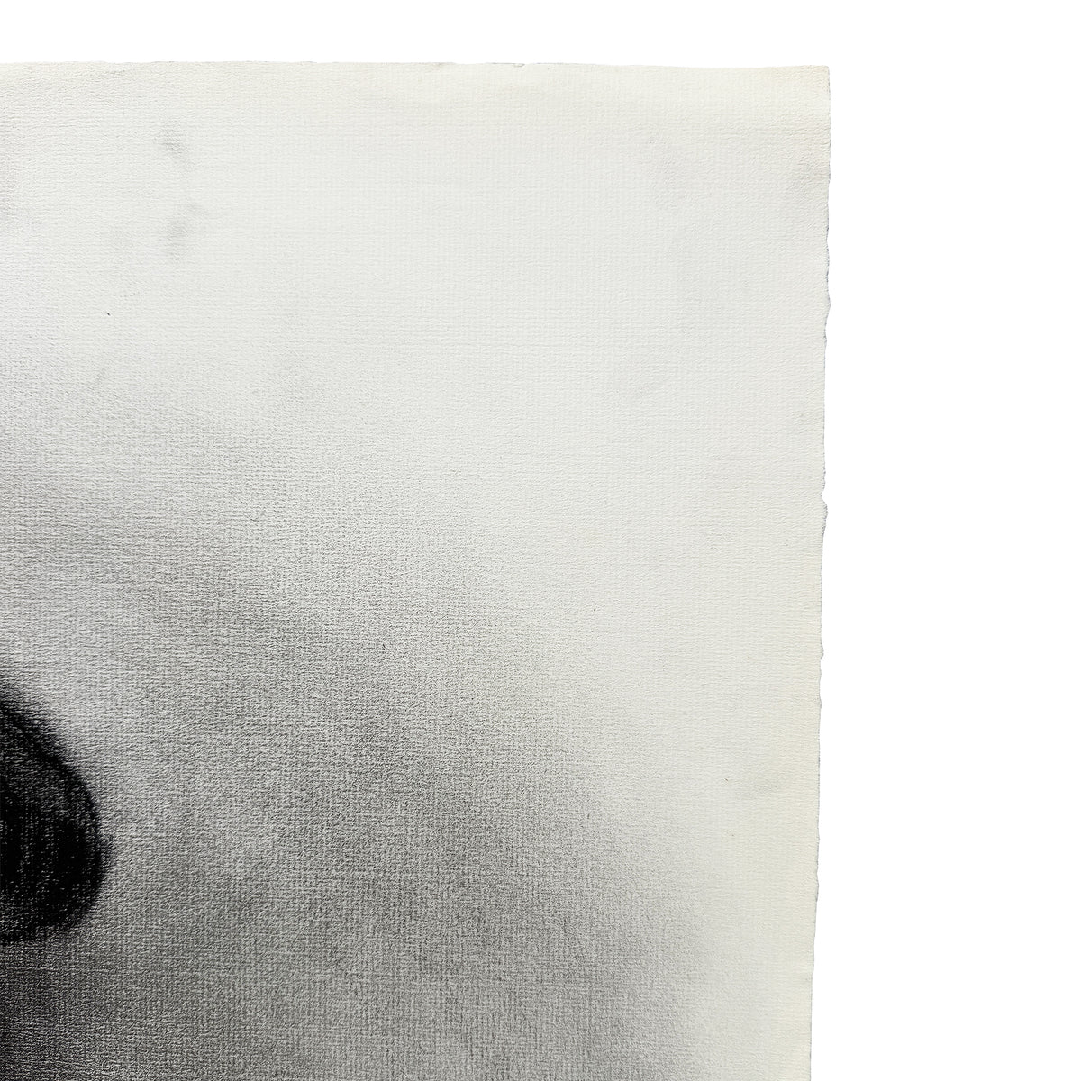 Donna Foreman Hopper Double-Sided Charcoal Portrait of a Woman in Profile