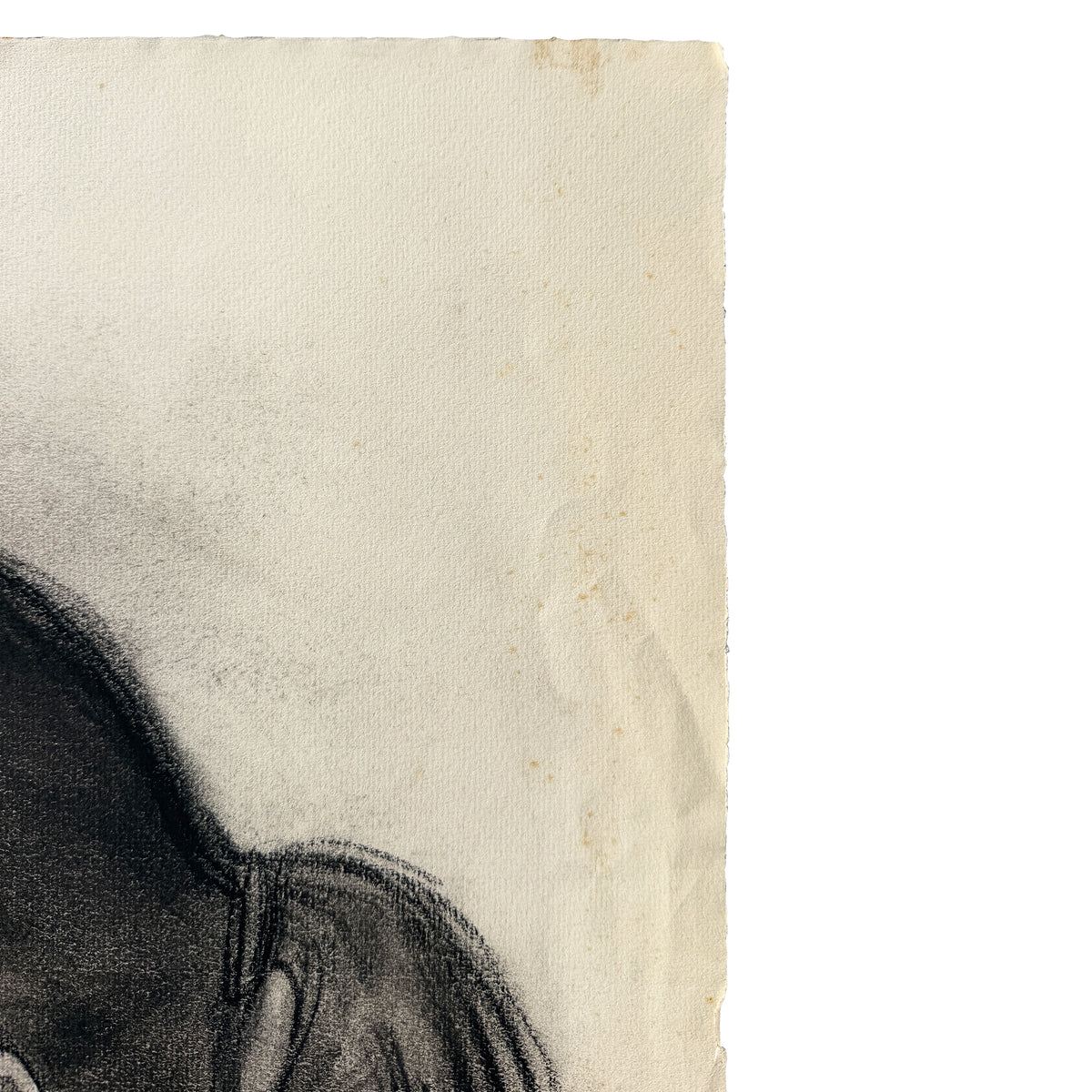 Donna Foreman Hopper Original Charcoal Portrait Woman with Ponytail 1950s