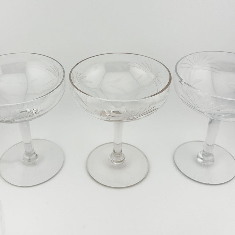 Etched Champagne Coupes - Set of 7