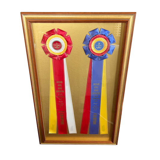 Framed Missouri Horse Show Champion Rosettes, Equestrian Wall Art, 1992