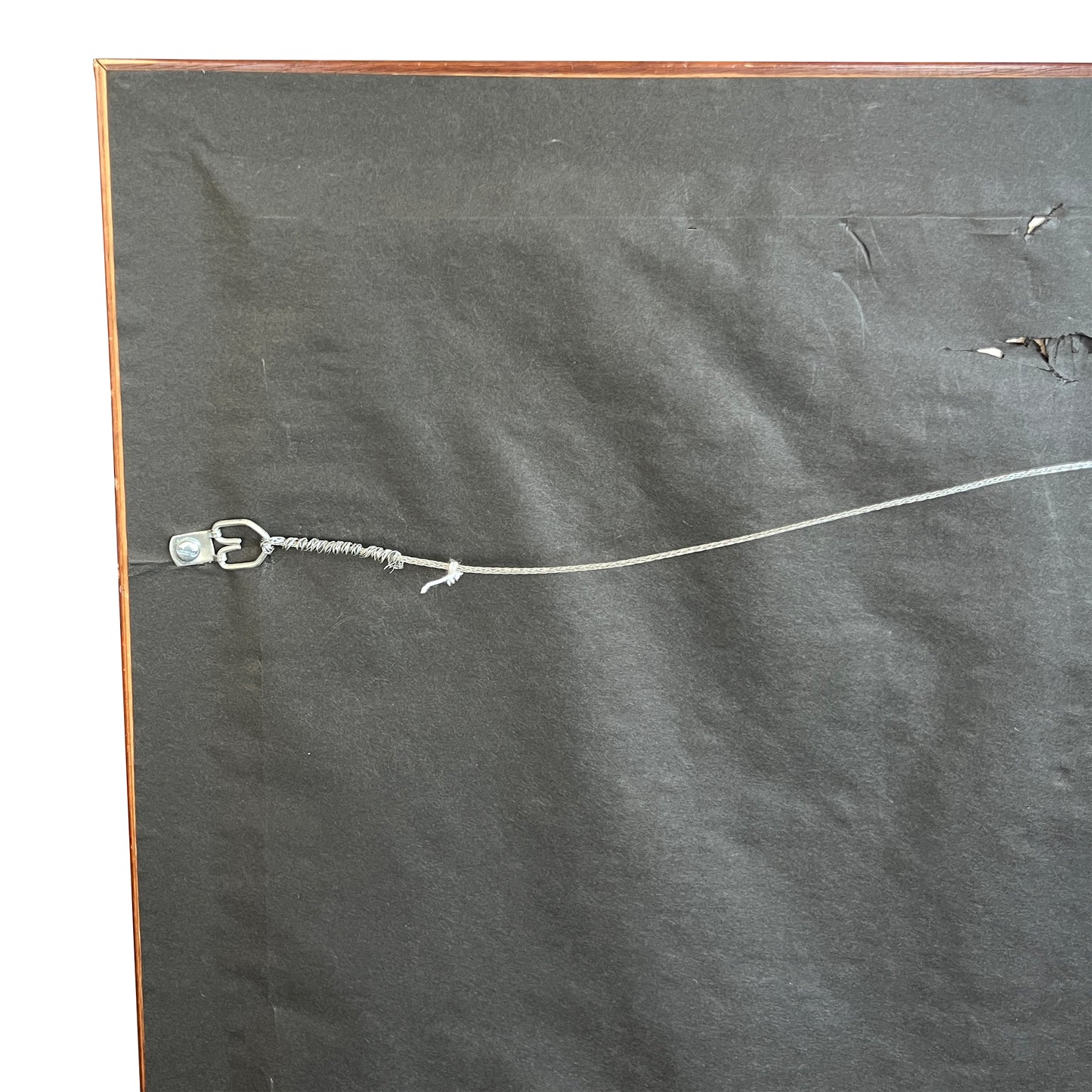 Framed Missouri Horse Show Champion Rosettes, Equestrian Wall Art, 1992