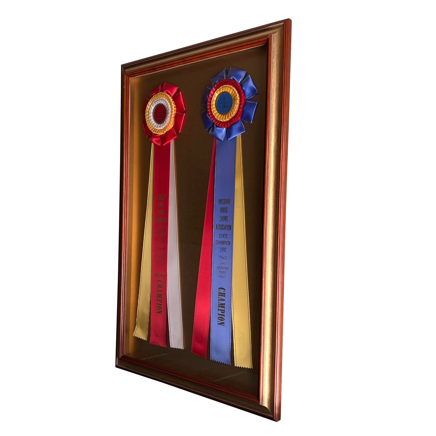 Framed Missouri Horse Show Champion Rosettes, Equestrian Wall Art, 1992