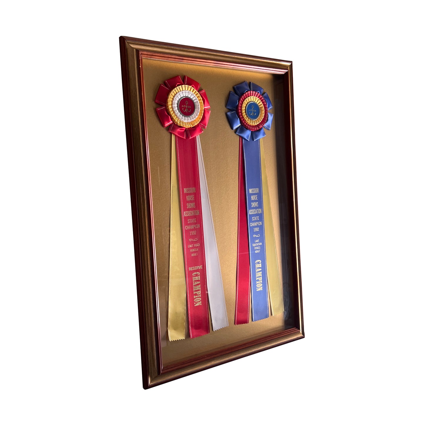 Framed Missouri Horse Show Champion Rosettes, Equestrian Wall Art, 1992