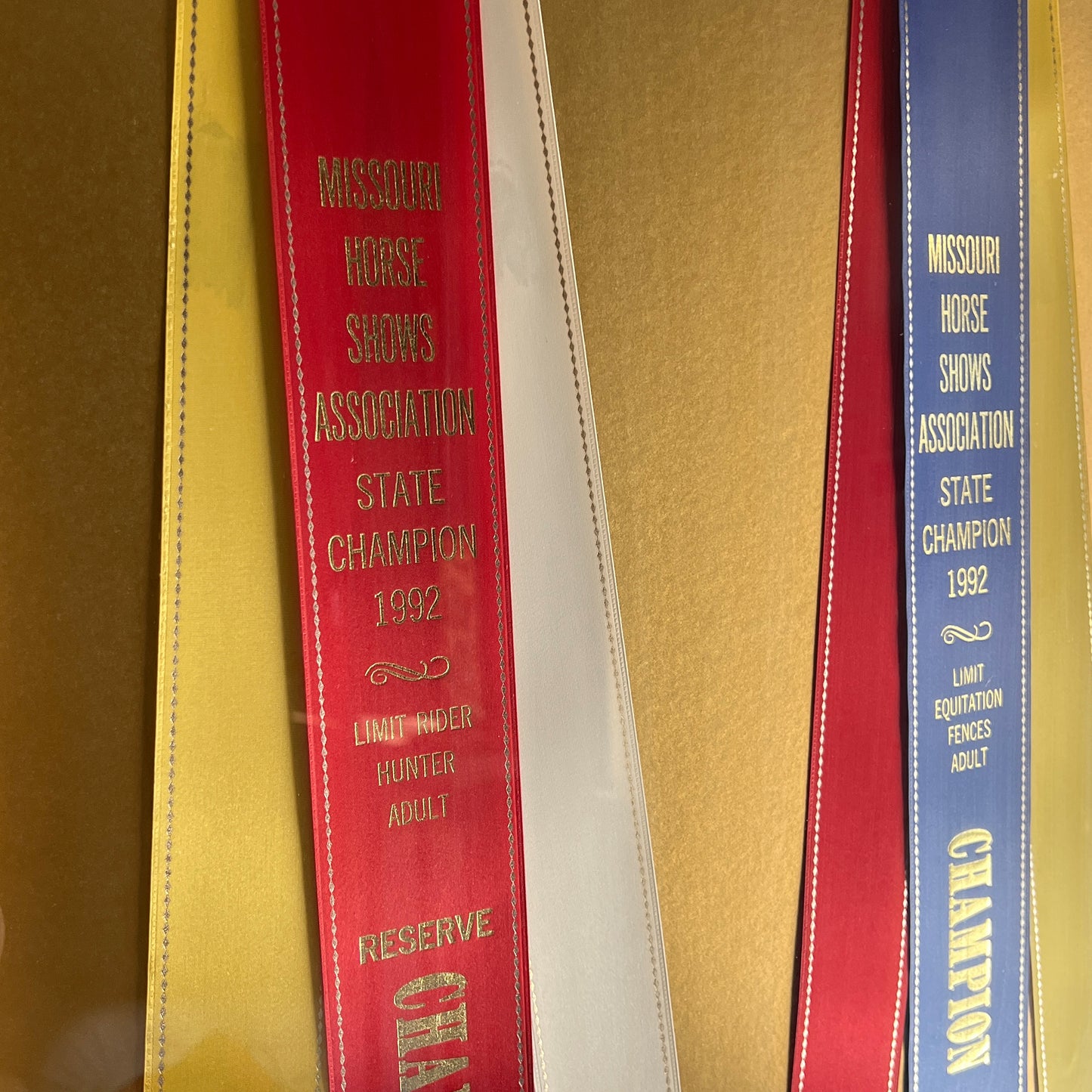 Framed Missouri Horse Show Champion Rosettes, Equestrian Wall Art, 1992