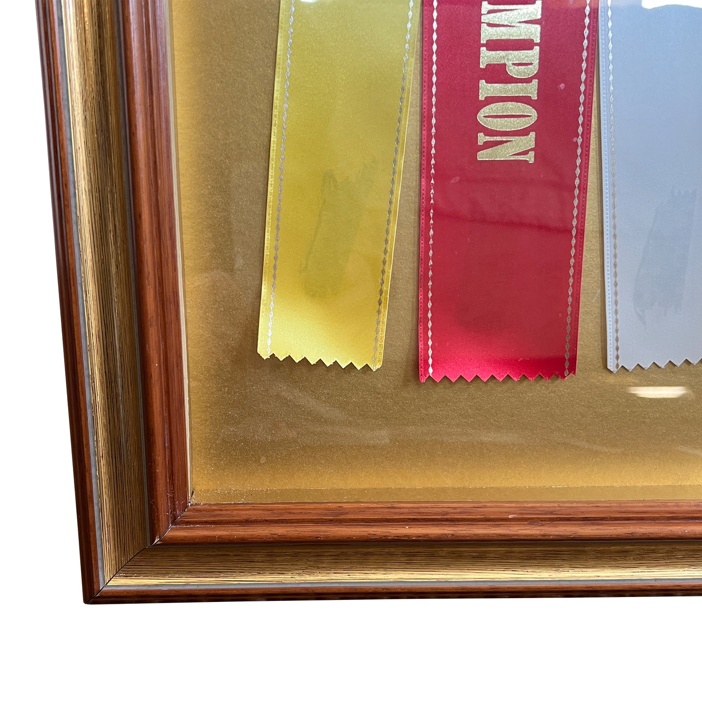 Framed Missouri Horse Show Champion Rosettes, Equestrian Wall Art, 1992