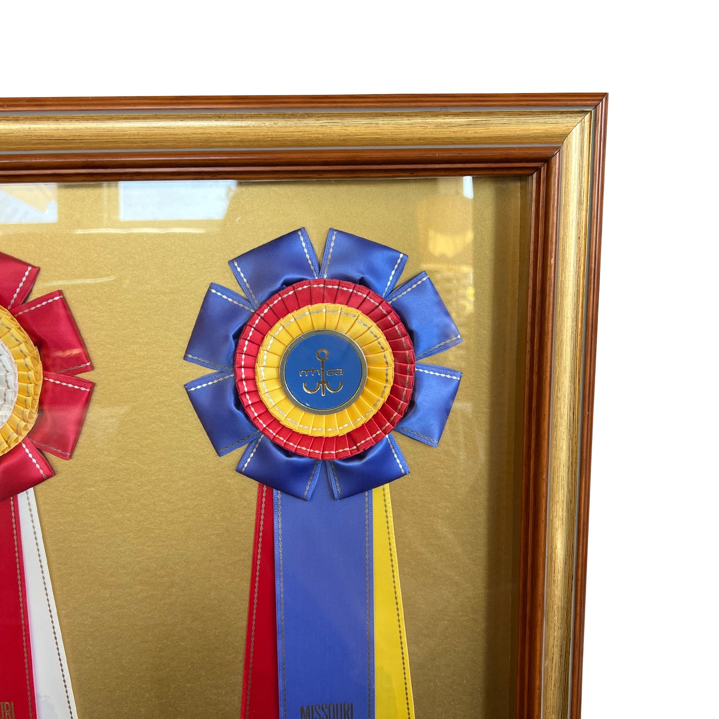 Framed Missouri Horse Show Champion Rosettes, Equestrian Wall Art, 1992