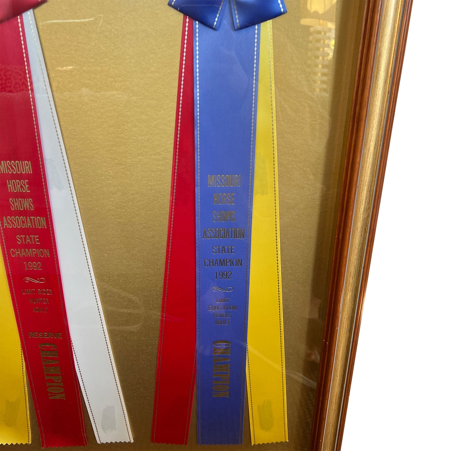 Framed Missouri Horse Show Champion Rosettes, Equestrian Wall Art, 1992