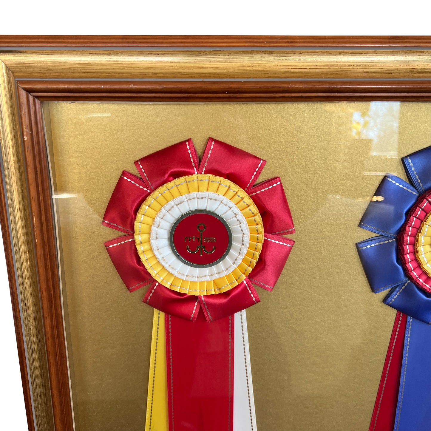 Framed Missouri Horse Show Champion Rosettes, Equestrian Wall Art, 1992