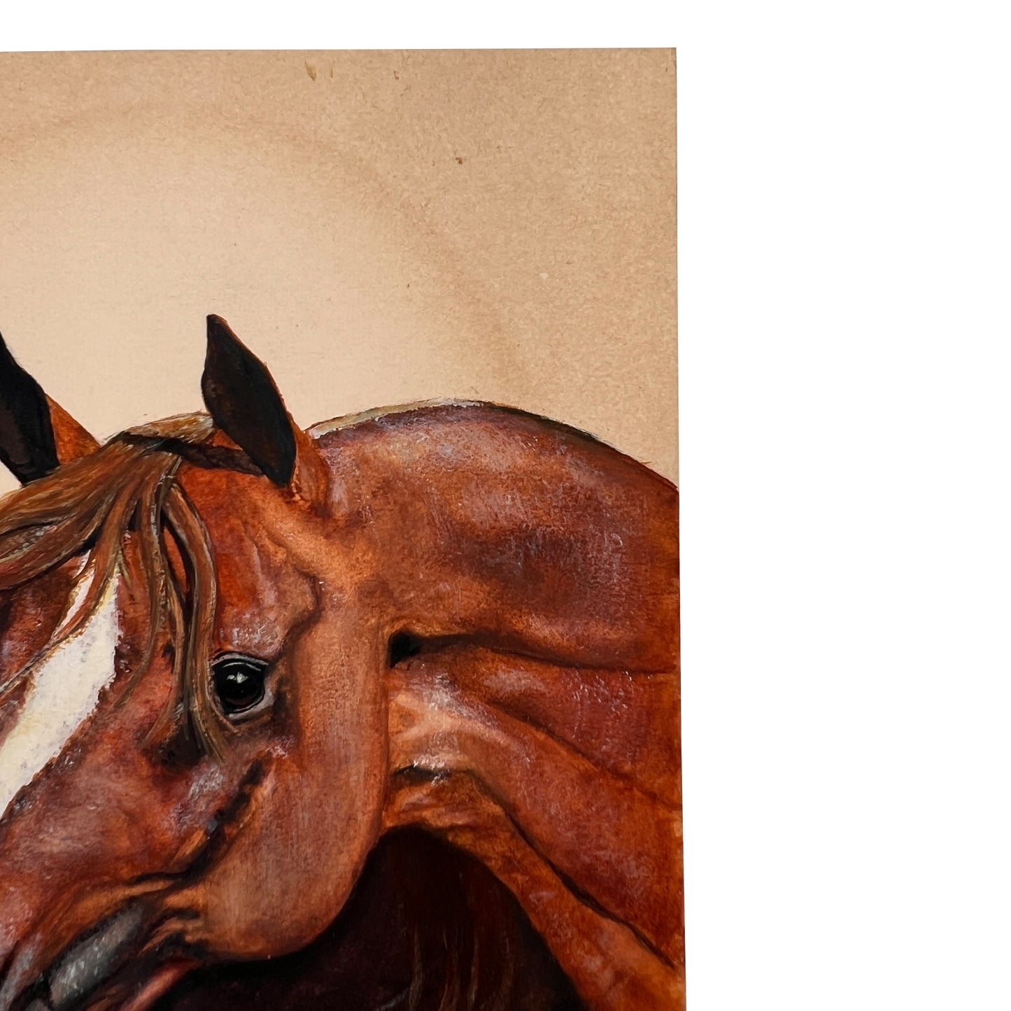 Hand-Painted Equestrian Horse Portrait on Board, Signed B. My, Mid-Century