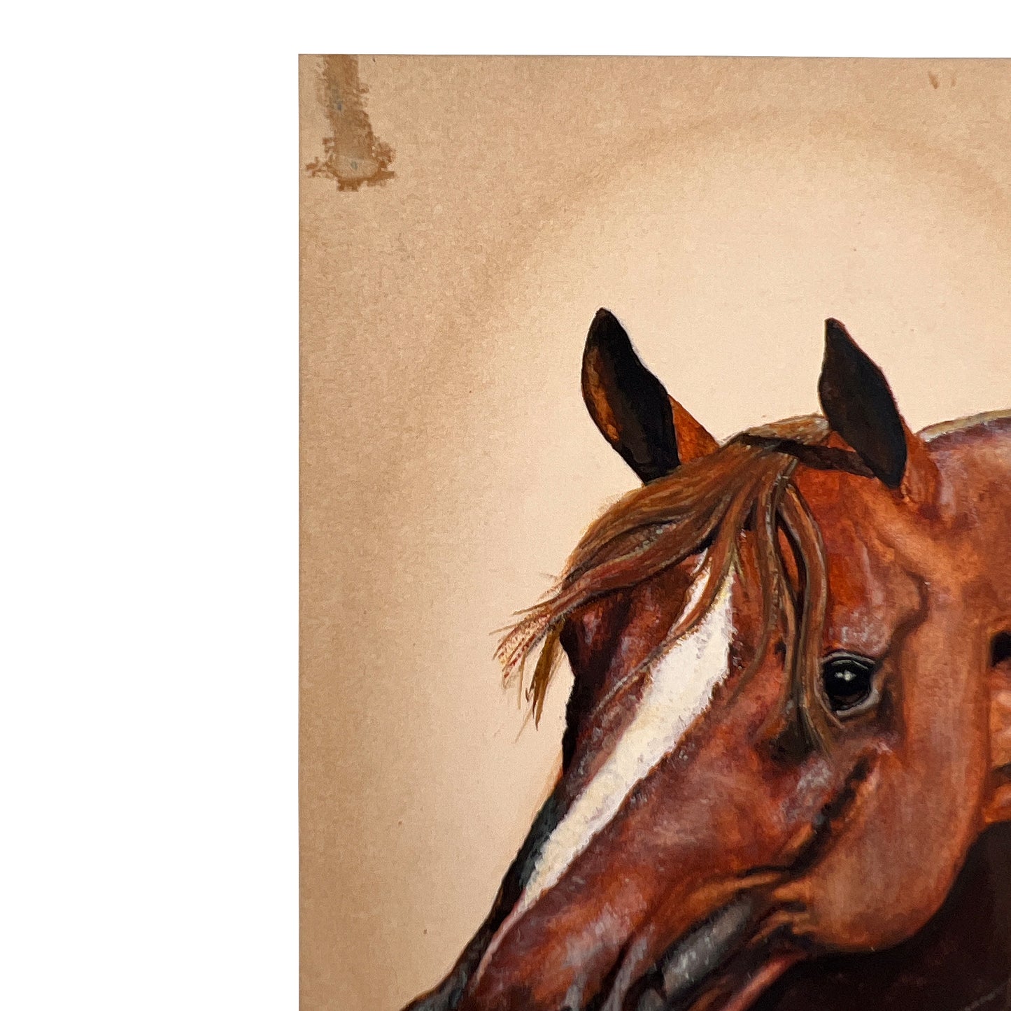 Hand-Painted Equestrian Horse Portrait on Board, Signed B. My, Mid-Century
