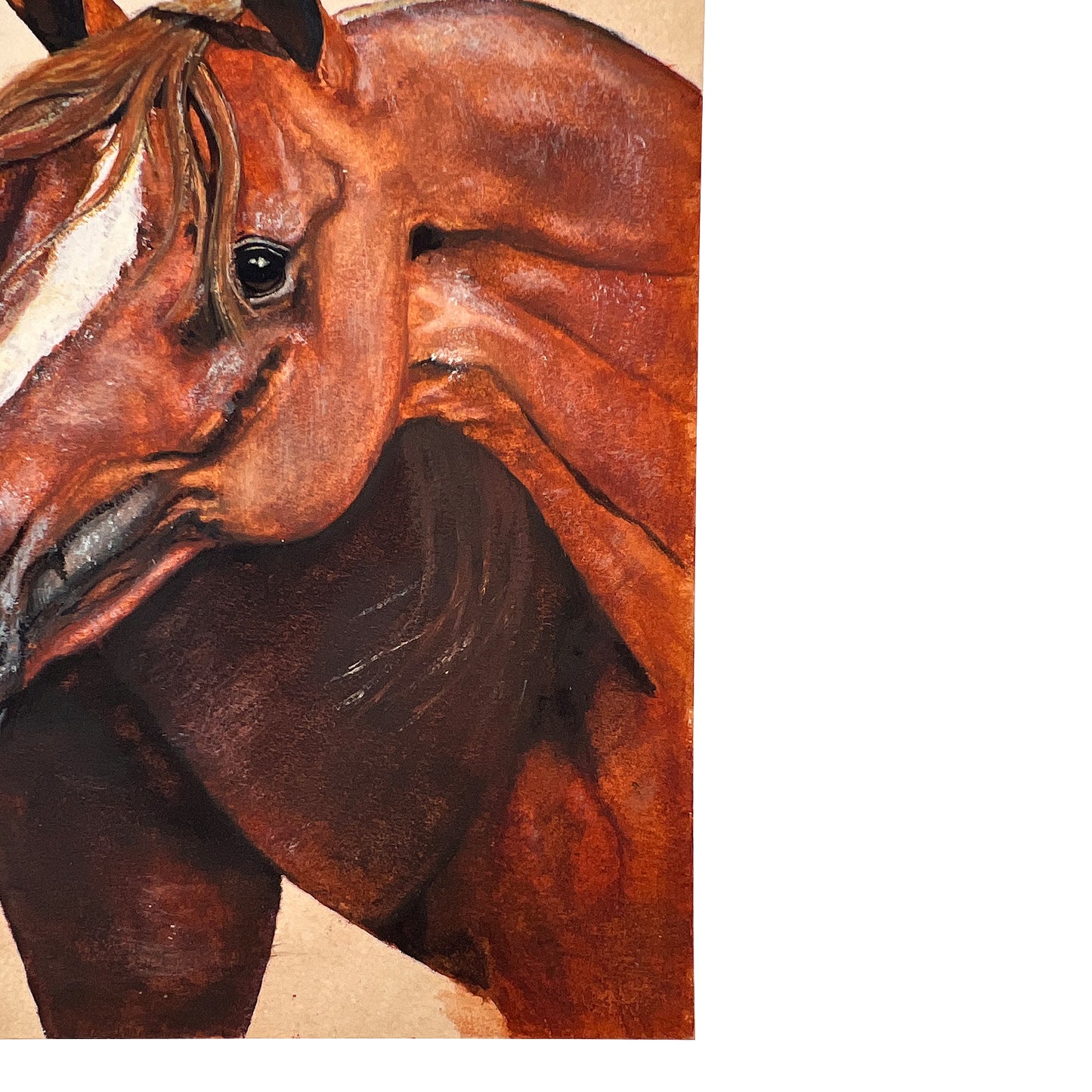 Hand-Painted Equestrian Horse Portrait on Board, Signed B. My, Mid-Century