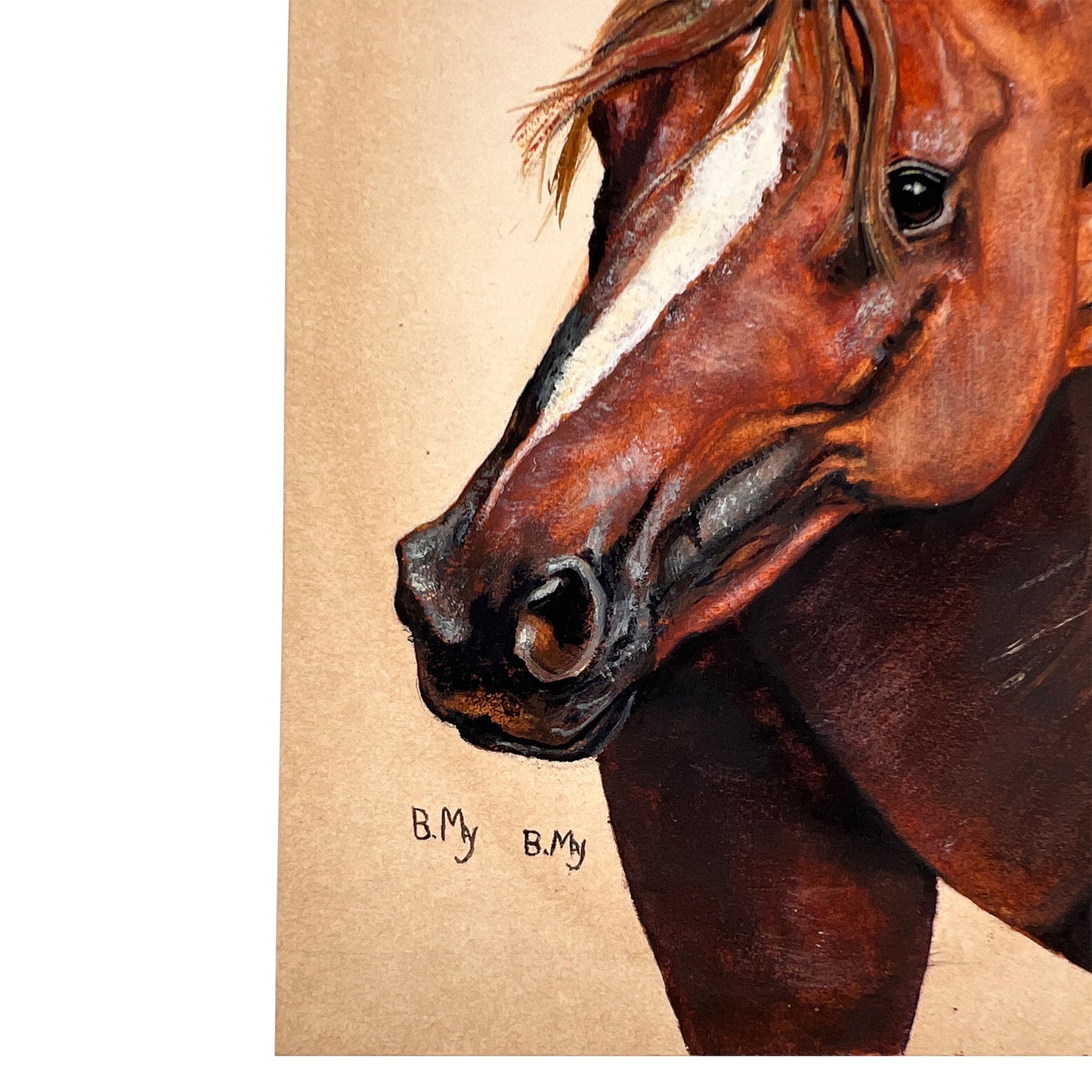 Hand-Painted Equestrian Horse Portrait on Board, Signed B. My, Mid-Century