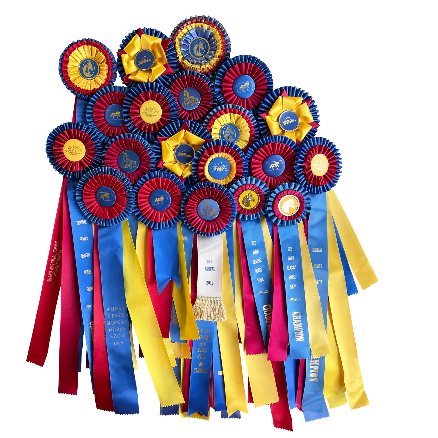 Gigantic Collection of Morgan Horse Show Rosette Ribbons in Red, Yellow and Blue - Set of 20
