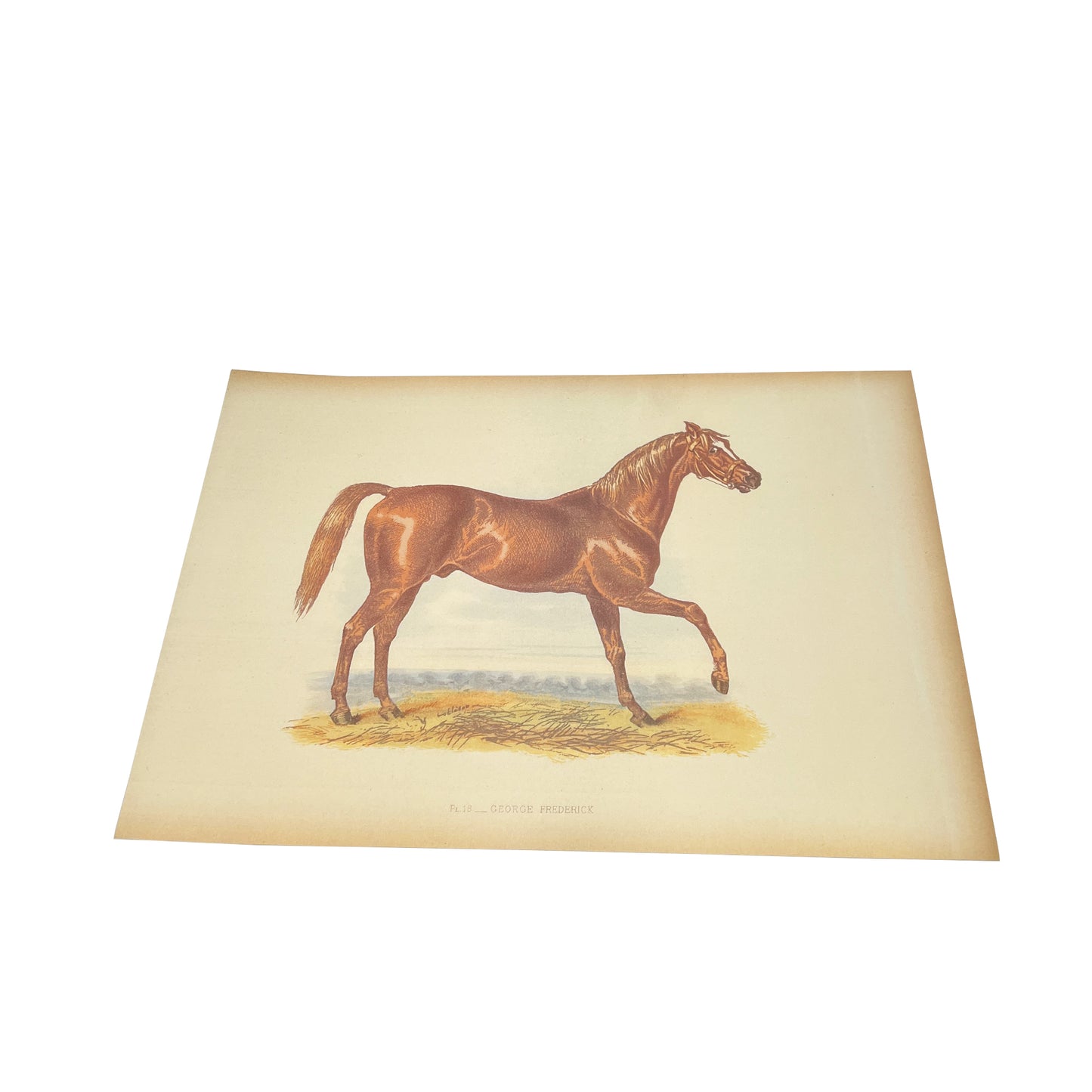 Antique Horse Racing Print ‘George Frederick’ After Herring, English Lithograph