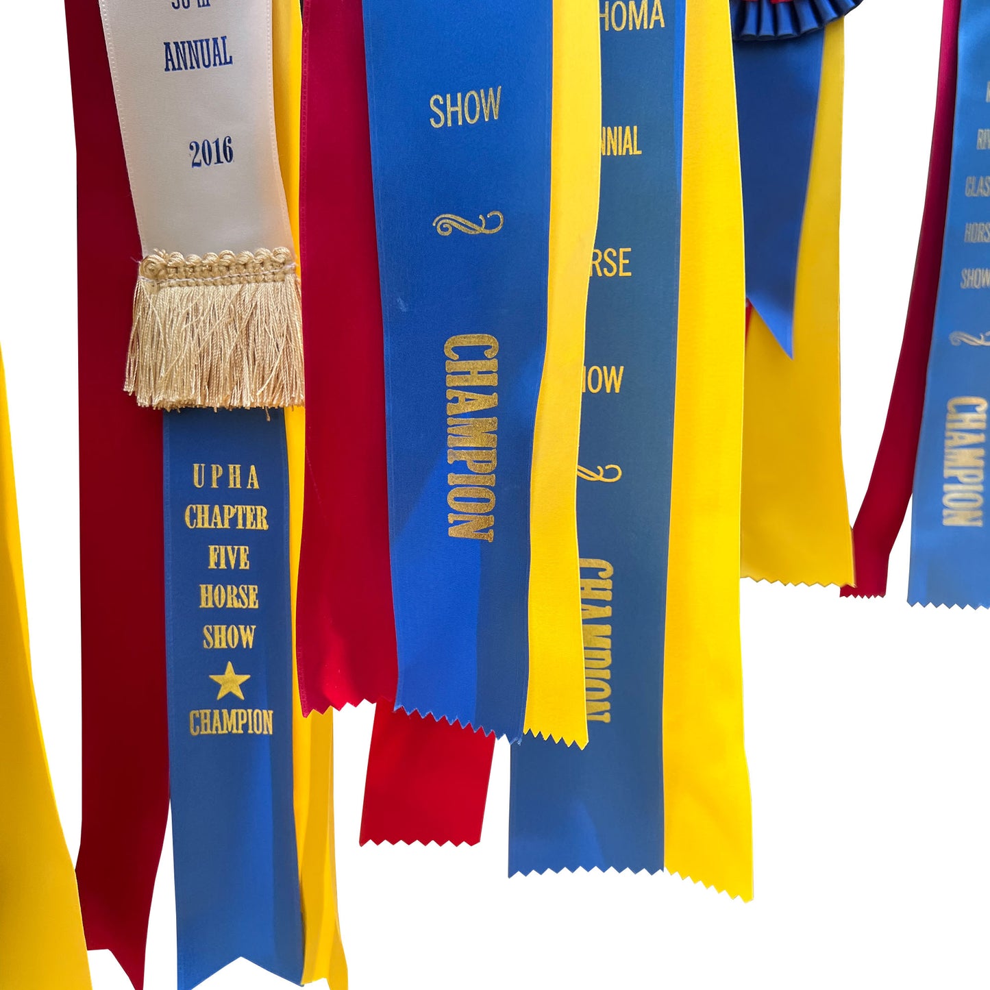 Gigantic Collection of Morgan Horse Show Rosette Ribbons in Red, Yellow and Blue - Set of 20