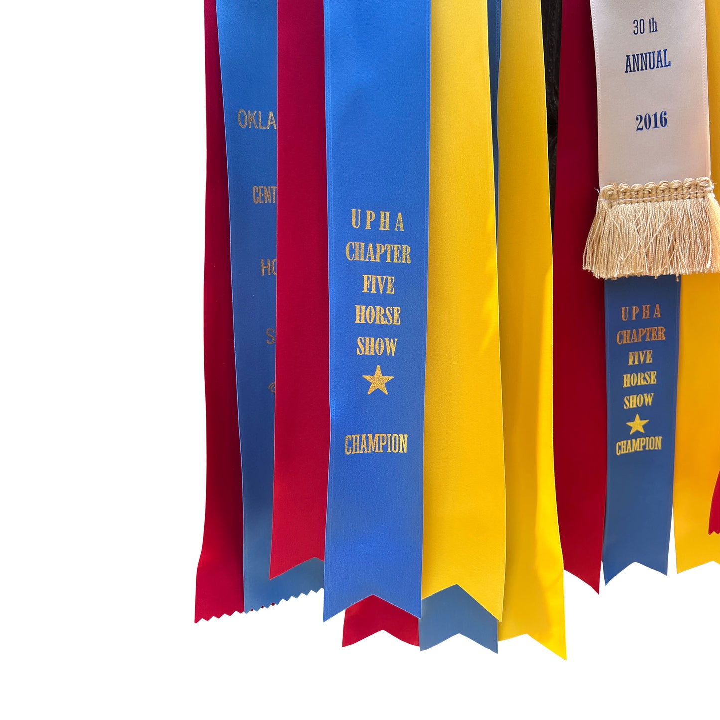 Gigantic Collection of Morgan Horse Show Rosette Ribbons in Red, Yellow and Blue - Set of 20