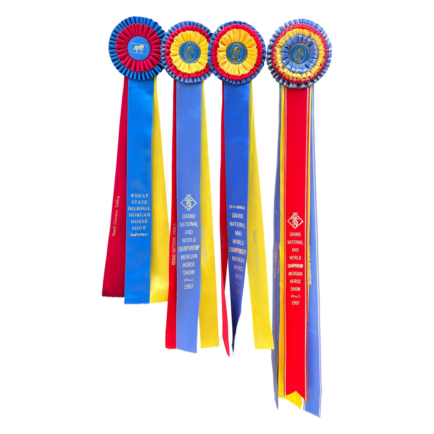 Gigantic Collection of Morgan Horse Show Rosette Ribbons in Red, Yellow and Blue - Set of 20