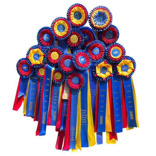 Gigantic Collection of Morgan Horse Show Rosette Ribbons in Red, Yellow and Blue - Set of 20