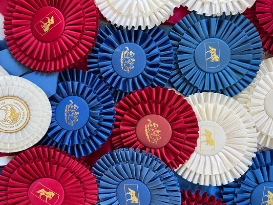 Large Collection of Morgan Horse Show Rosette Ribbons in Red White and Blue - 20