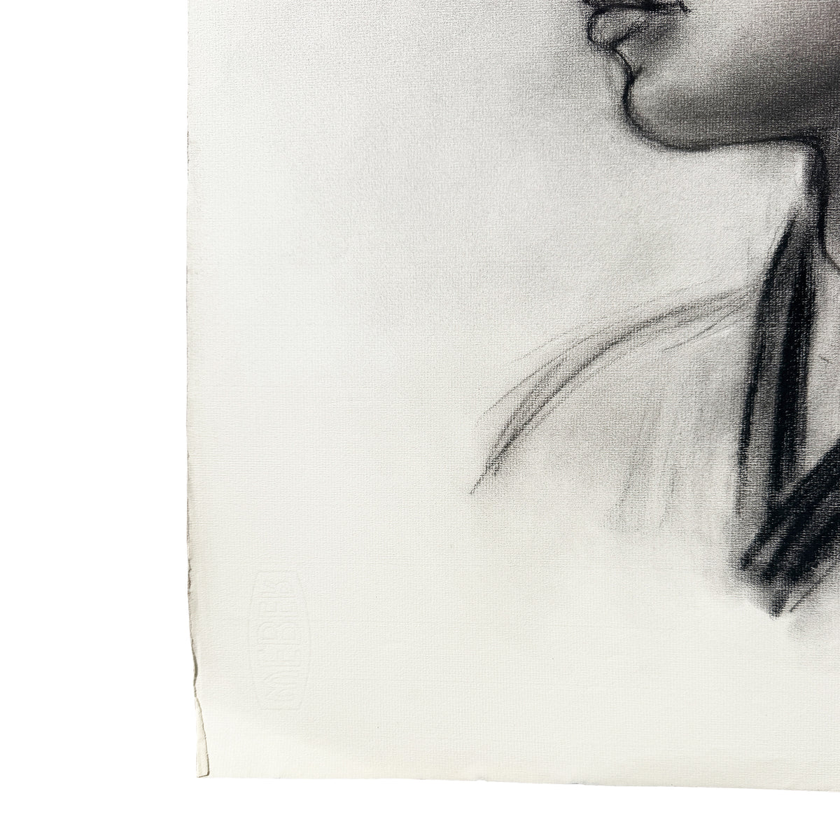 Vintage Charcoal Portrait Drawing of a Woman in Profile with Ponytail