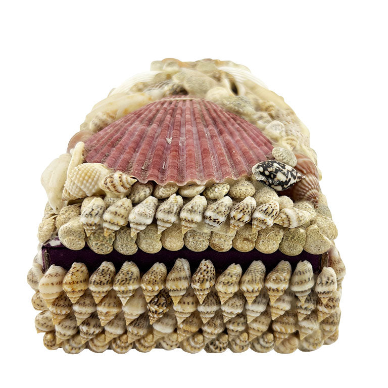 Purple Sea Shell Encrusted Trinket Box